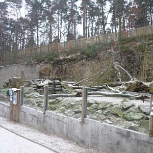 Decin Zoo 2009