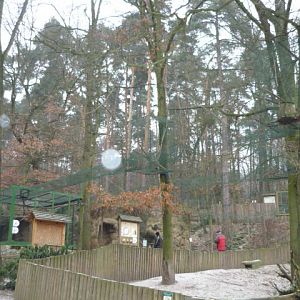 Decin Zoo 2009