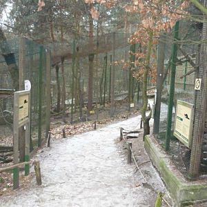 Decin Zoo 2009