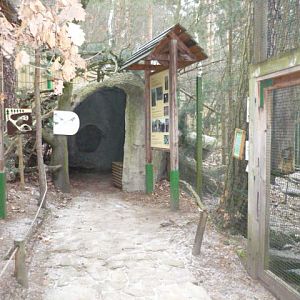 Decin Zoo 2009