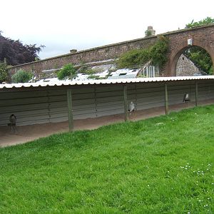 View of Bird of Prey Mews