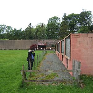 Aviary view with zoochatter for scale