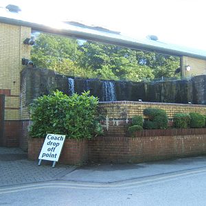 View of waterfall that backs on to diving duck exhibit