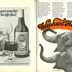 Belle Vue, Manchester. Pages from 1971 guidebook