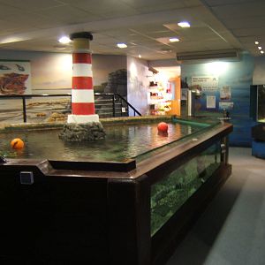 View of Ray Tank