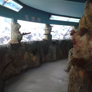 Coralaquariums