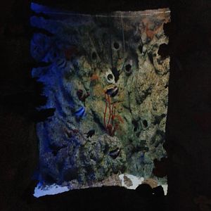 One of the smaller Coral aquariums