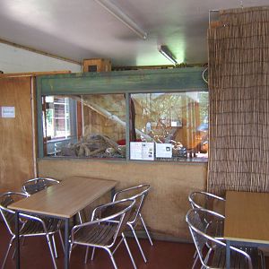 Boa Constrictor exhibit in inside Picnic area