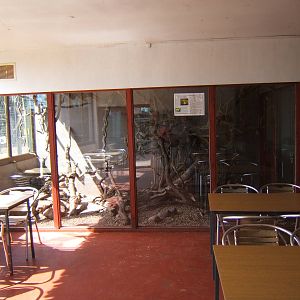 Burmese Python exhibit in the indoor picnic area
