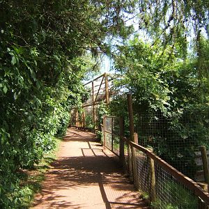 View towards Red Squirrel exhibit