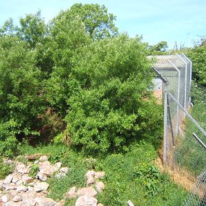 View of Snow Leopard enclosure