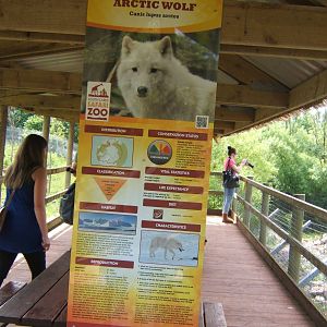 Yet another wrong sign