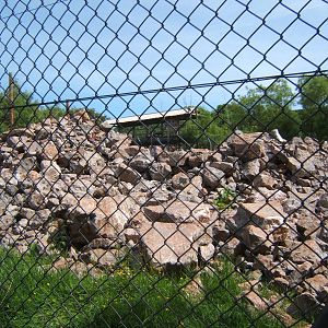 View towards Snow Leopard view balcony across the enclosure