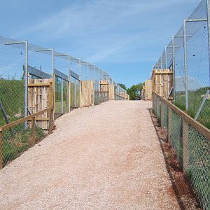 Lion enclosure on right Sri Lankan Leopard enclosure on left