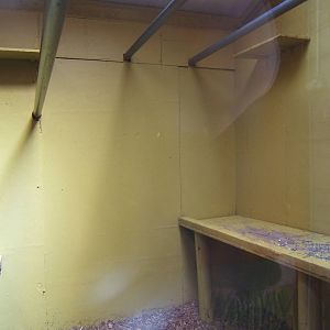 View of the indoor accommodation for the Lar Gibbon in the Primate House