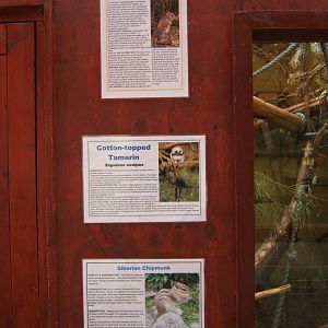 Another superb mixed species mix