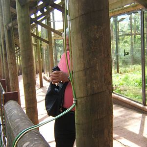 What looked like the power feed to the electric fence on the Tayra exhibit