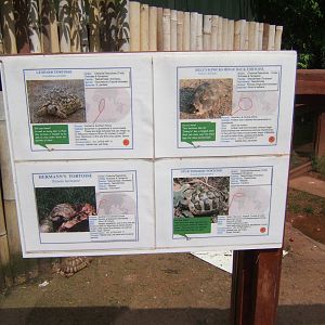 View of signage for the Tortoise enclosure