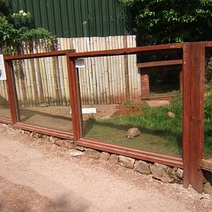View of the Tortoise enclosure