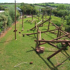 View of mixed South American exhibit
