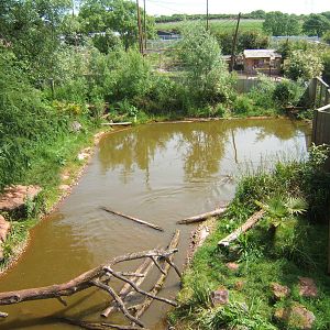 View of Giant Otter enclosure from the raised walk way