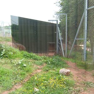 View of Jaguar House