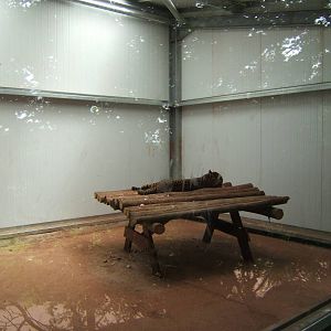 These picture shows of all the furniture that is in the inside House for th