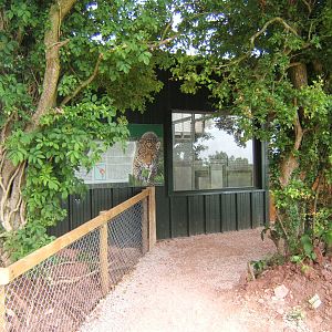 View on the viewing window into the inside of the Jaguar House