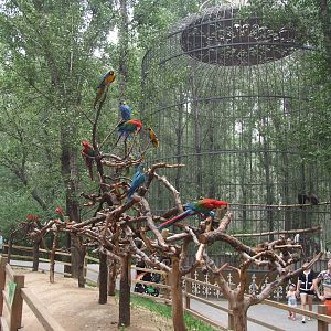 Parrot exhibit and vulture cage