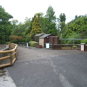 Aloatran Gentle Lemur enclosure
