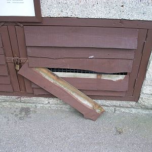 Aaaaaaaaaaaaaaaargh!!!!, 14th June 2014