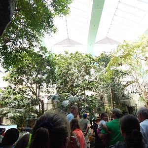 Jun. 2014 - Mahler Aviary - Walk-through Exhibit (14 Species)