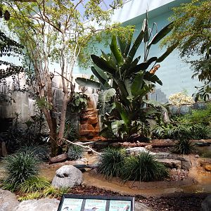 Jun. 2014 - Mahler Family Aviary - Walk-through Exhibit (14 Species)