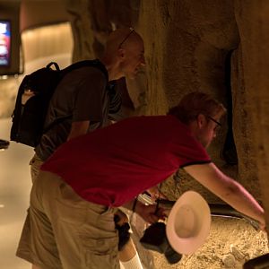 Mystery ZooChatters in Life Underground