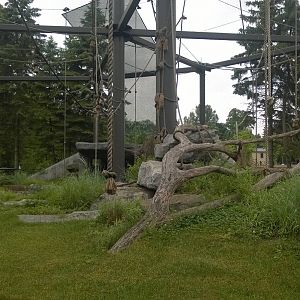 Primate Park