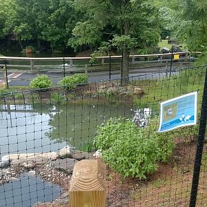 Stanley (Blue) Crane Exhibit