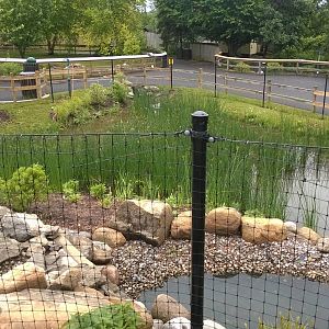 Stanley (Blue) Crane Exhibit