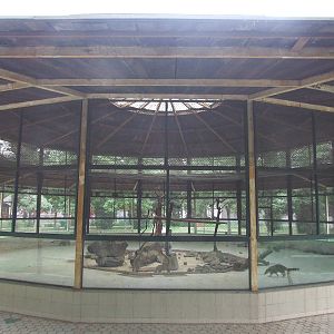 Coati enclosure