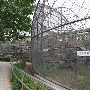 Golden snub-nosed monkey exhibit