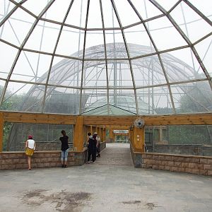 Golden snub-nosed monkey exhibit