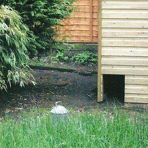 New shelter for pheasants, Spring 2013