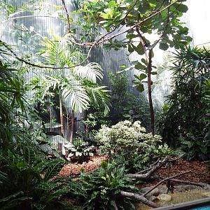 Jun. 2014 - Mahler Family Aviary - Rainforest Exhibit (4)