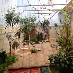 Jun. 2014 - Mahler Family Aviary -  Blacksmith Plover + Cape Thick Knee + W