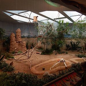 Jun. 2014 - Mahler Family Aviary - African Savanna Exhibit (5 Species)