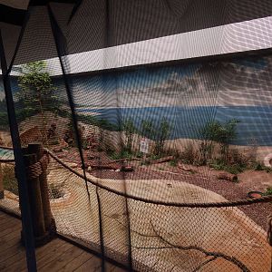 Jun. 2014 - Mahler Family Aviary - Shoreline Exhibit (4 Species)