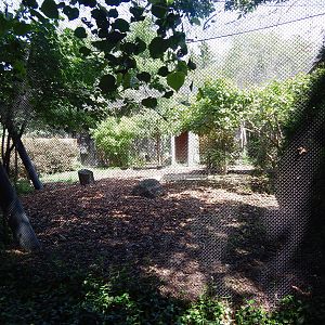 Jun. 2014 - Mahler Family Aviary - Whooping Crane Exhibit