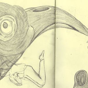 Hornbill Sketch