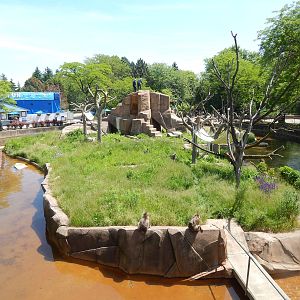 Jun. 2014 - Macaque Island