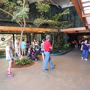 Jun. 2014 - Apes of Africa and Primates of the World