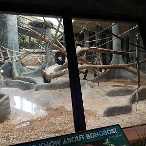 Jun. 2014 - Apes of Africa and Primates of the World - Indoor Bonobo Exhibi